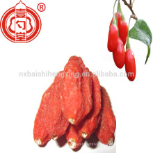 Barbary wolfberry fruitgoji berry shed dried organic for dropshipping